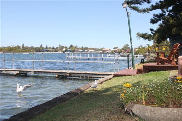Black Swan Waterfront Motel (Adults Only) Swansea Exteriör bild